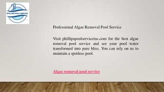 Professional Algae Removal Pool Service