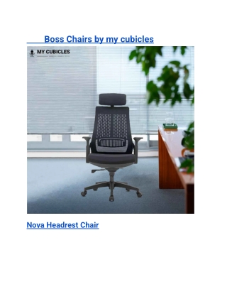 Boss Chairs by my cubicles