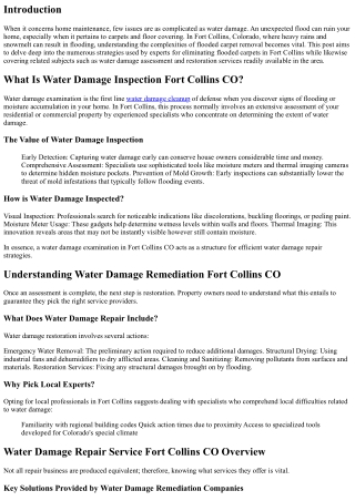 A Detailed Take A Look At Flooded Carpet Elimination Methods Utilized by Experts