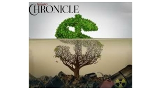 Is Sustainable Capitalism Merely Greenwashing_