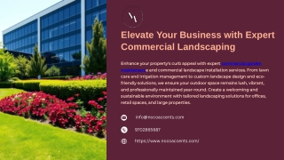 Professional Commercial Garden Maintenance & Landscape Installation Services