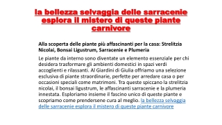 la bellezza selvaggia delle sarracenie esplora il mistero di queste piante carnivore