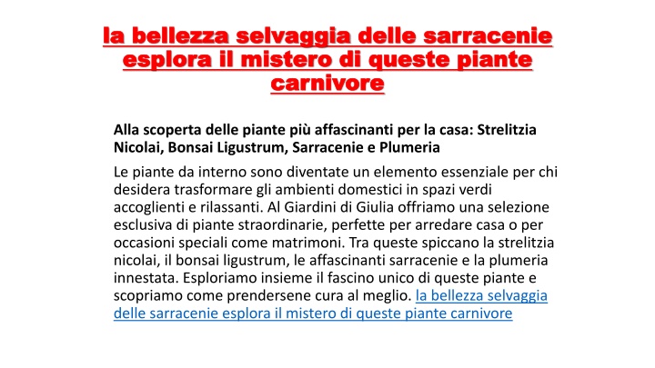 la bellezza selvaggia delle sarracenie esplora il mistero di queste piante carnivore