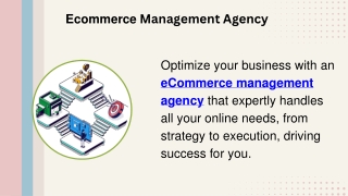 Ecommerce Management Agency