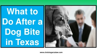 what to do after a dog bite in texas