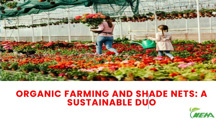 organic farming and shade nets a sustainable duo