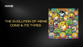 the evolution of meme
