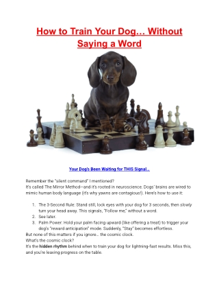 how to train your dog without saying a word
