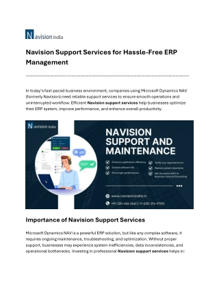 navision support services for hassle free