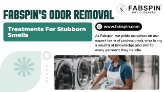 Fabspin's Odor Removal Treatments For Stubborn Smells