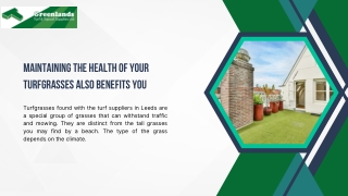 Maintaining the Health of Your Turfgrasses also Benefits you