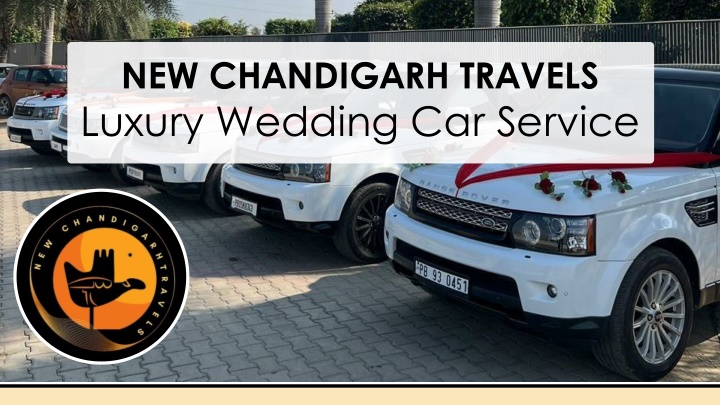 new chandigarh travels