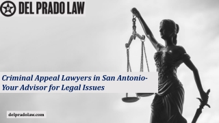 Criminal Appeal Lawyers in San Antonio-Your Advisor for Legal Issues