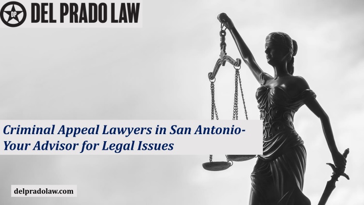 criminal appeal lawyers in san antonio your