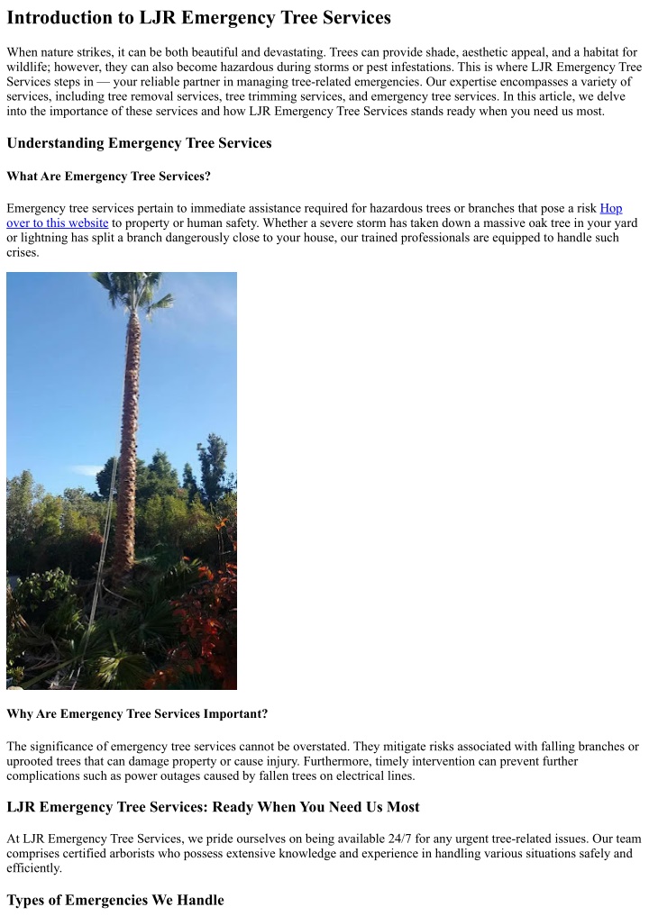 introduction to ljr emergency tree services