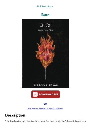 PDF Books Burn