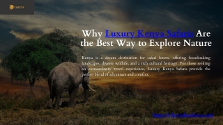 Why Luxury Kenya Safaris Are the Best Way to Explore Nature