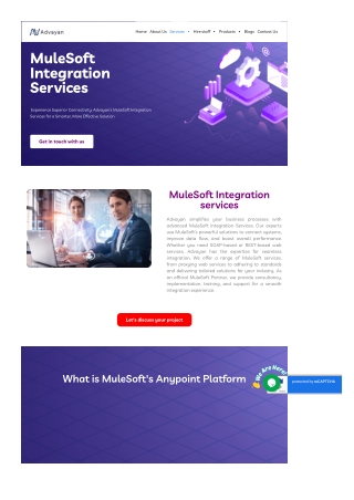 MuleSoft Integration services