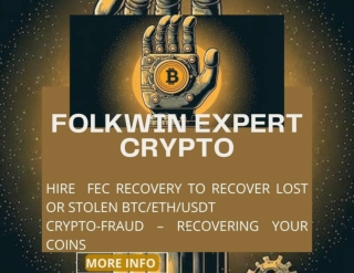THE SOLUTION: "HOW FOLKWIN EXPERT RECOVERY EMPOWERED ME TO REGAIN MY FINANCIAL.