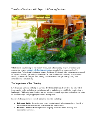 Transform Your Land with Expert Lot Clearing Services