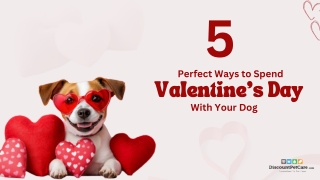 Pawsome Valentine’s Day Plans: 5 Ways to Spoil Your Dog