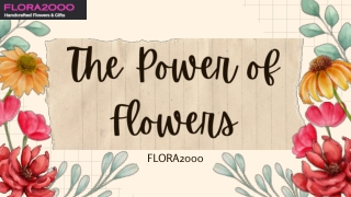 The Power of Flowers: Spreading Love & Joy Worldwide