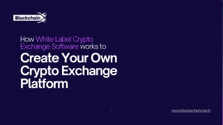 how white label crypto exchange software works to