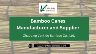 Bamboo Canes Manufacturer and Suppliers - Vantidebamboo.com