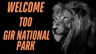 GIR NATIONAL PARK