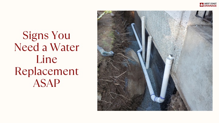 signs you need a water line replacement asap