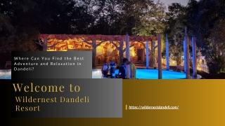 Luxury Resorts in Dandeli - Wildernest Jungle Resort