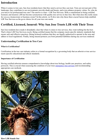 Certified, Licensed, Insured: Why San Jose Trusts LJR with Their Trees