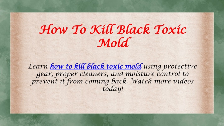 how to kill black toxic mold