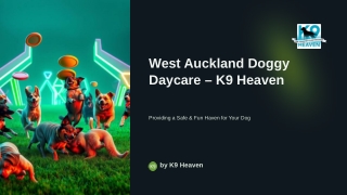 West Auckland Doggy Daycare – K9 Heaven