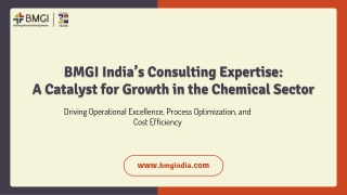 BMGI India’s Consulting Expertise: A Catalyst for Growth in the Chemical Sector