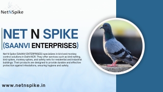 Net N Spike (SAANVI ENTERPRISES)