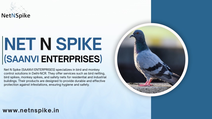 net n spike saanvi enterprises