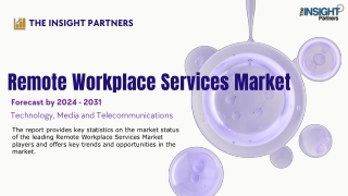 the insight partners