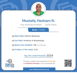Top 2% Scientist Rankings certificate 2024