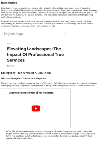 Emergency Tree Services by LJR: What to Expect