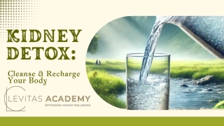 Kidney Detox Body