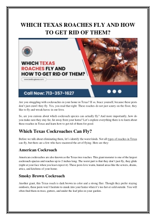 Expert Cockroach Exterminator Services in Texas