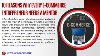 10 Reasons Why Every E-commerce  Entrepreneur Needs a Mentor