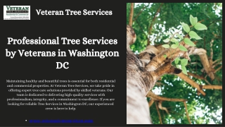 Professional Tree Services by Veterans in Washington DC