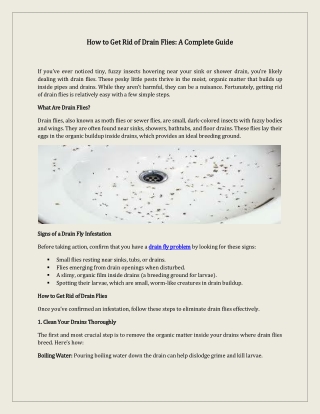 how to get rid of drain flies a complete guide