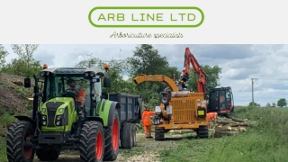 Tree Surgery Chester