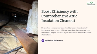 Boost Efficiency with Comprehensive Attic Insulation Cleanout