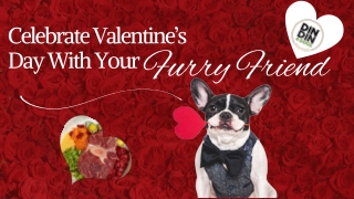 Celebrate Valentine’s Day With Your Furry Friend