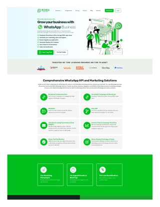 "Top WhatsApp Business API Providers: Choose the Best for Your Business"