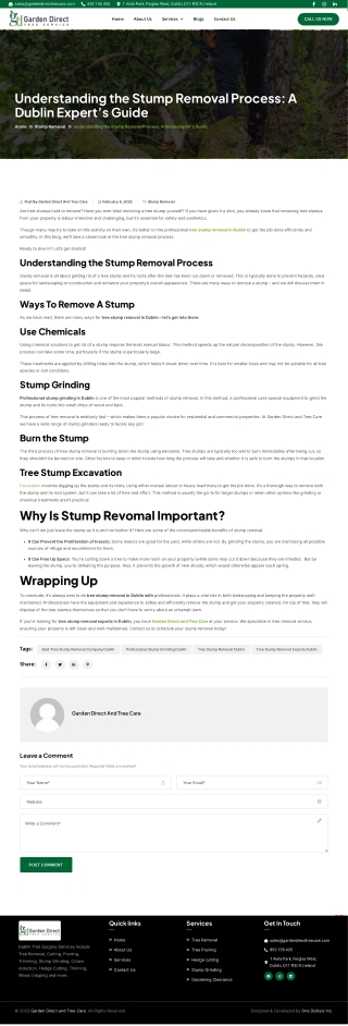 Understanding the Stump Removal Process A Dublin Expert’s Guide